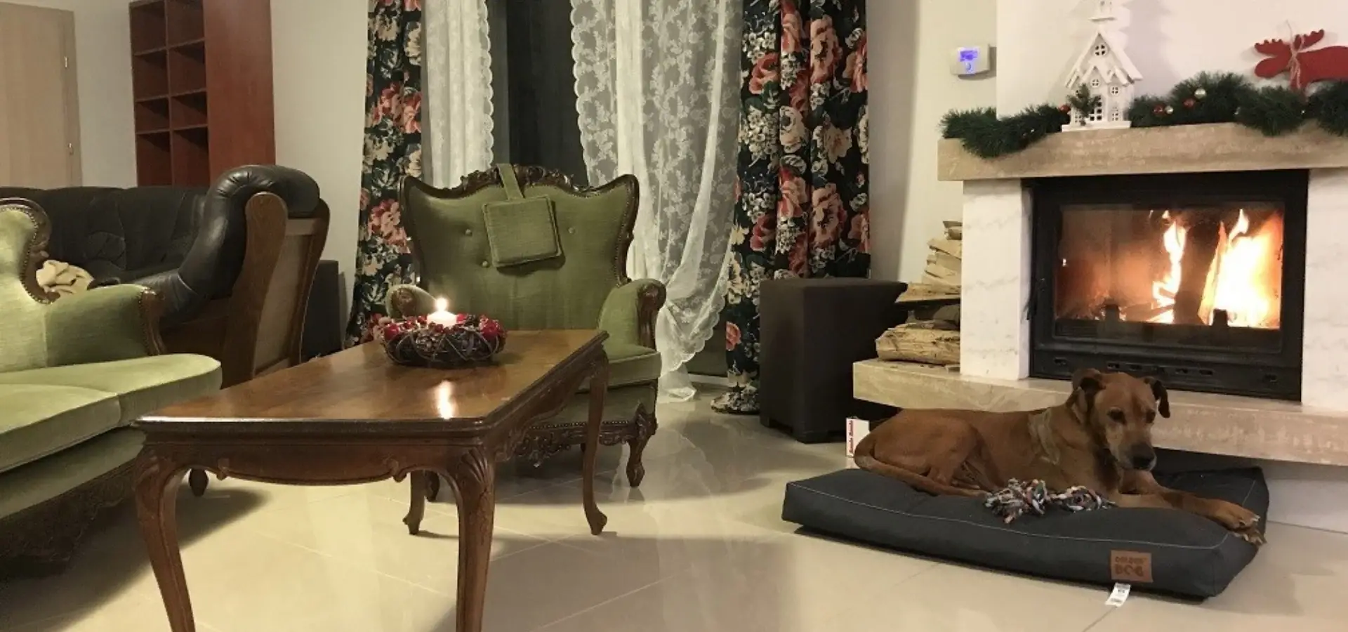 zielony fotel w pokoju